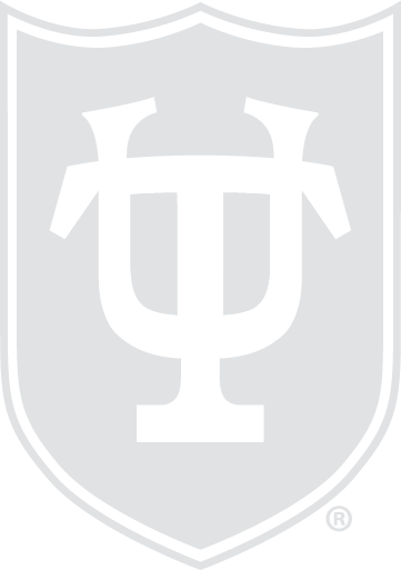 University Seal Silver