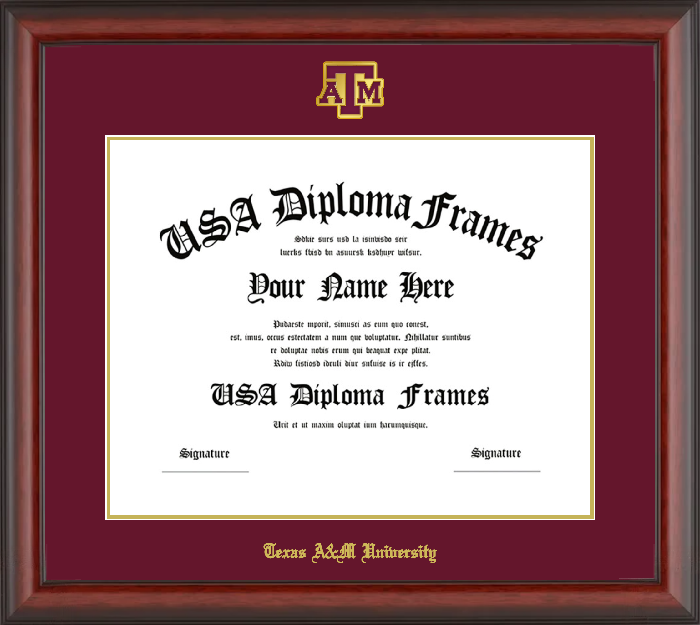 Texas Am Diploma Framenull