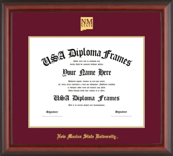 Diploma Frame – Cherry Matte – Maroon/Gold Mat - & Seal Gold