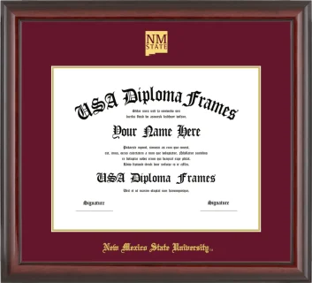 Diploma Frame – Cherry Glossy – Maroon/Gold Mat