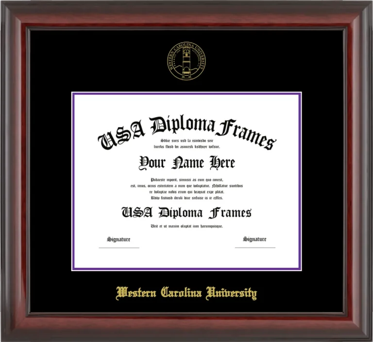 Bachelors Frame – Cherry Glossy – Black/Purple Mat