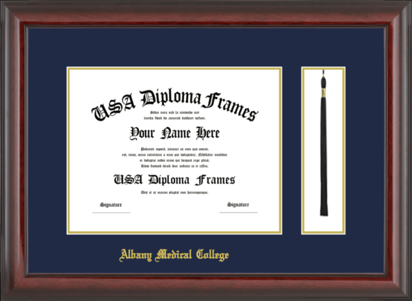 Albany Medical College Diploma Frame Starting at $164