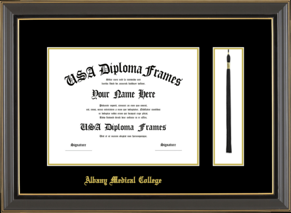 Albany Medical College Diploma Frame Starting at $174