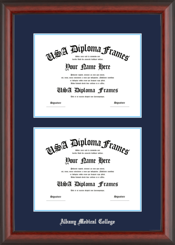 Albany Medical College Diploma Frame Starting at $204